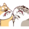 fat meow 1 25