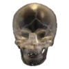 Skulls and bones 💀🦴 + 2 26