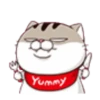 fat meow 2 25