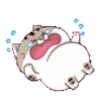 fat meow 1 27