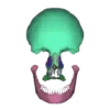 Skulls and bones 💀🦴 + 2 28
