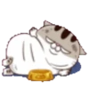 fat meow 1 28