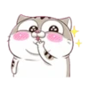 fat meow 2 28