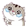 fat meow 1 29