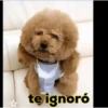 Animales Simpáticos MOV. 27