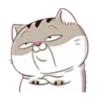 Fat meow 3 11