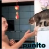 Animales Simpáticos MOV. 30