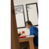 perrito 6