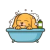 Tomy d' Dog🐕🍃🪷 8