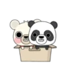 Three bears story 🐻🐼2 Mov 5