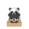 Three Bear Story 🐻🐼4 Mov 5