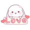Cute Rabbit 🐇 💖MOV 5