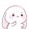 Cute Rabbit 🐇 💖MOV 6