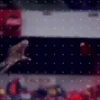 Club America 2 Mov ️ 5