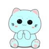 My Blue Cat lovely🩵🐱💙 5