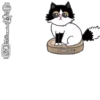 Gatitos(Cute)💝1🇧🇷Movi 5