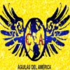ÁGUILAS DEL AMÉRICA