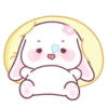 Cute Rabbit 🐇 💖MOV 9