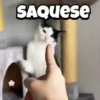 ️Tik tok mov 6 ️ 7