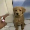 ️Tik tok mov 6 ️ 8