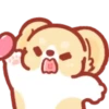 Corgi KaKa 3 -a 💖MOV 5