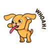Tomy d' Dog🐕🍃🪷 14