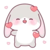 Cute Rabbit 🐇 💖MOV 11