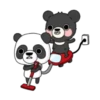 Three bears story 🐻🐼2 Mov 12