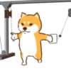 Shiba Hitting the Gym 10