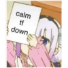 Bungo stray dogs 2 15