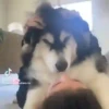 ️Tik tok mov 6 ️ 11