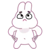 bunny 🐰🐰 mov 13