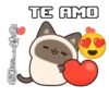 Gatitos(Cute)💝1🇧🇷Movi 10