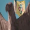 ️ AMÉRICA Y YA  MOV5 14