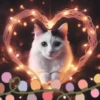 Animales Navideños🎄💞1🇵🇪Movi 11
