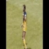 ️ AMÉRICA LEYENDAS  MOV 18