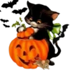 Happy Halloween🎃💞1🇵🇪Movi 12