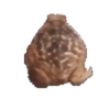 frogs for the frog gal 5