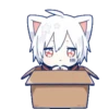 Cute Cat Boy - White 13