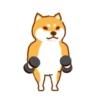 Shiba Hitting the Gym 15