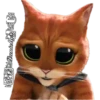 Gatitos(Cute)💝1🇧🇷Movi 11