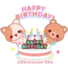 🎉 Happy Birthday 🎂 17