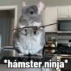 🐱Animalitos gracioso🐶🐕 Mov 17