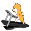 Shiba Hitting the Gym 17