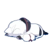 Cute Cat Boy - White 16