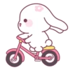 Cute Rabbit 🐇 💖MOV 16