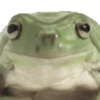 frogs for the frog gal 10