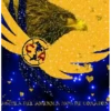 AGUILA DEL AMERICA 100% DE CORAZON