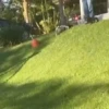 🐱Animalitos gracioso🐶🐕 Mov 22
