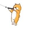 Shiba Hitting the Gym 19